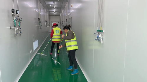 什么是開(kāi)荒保潔 什么是精保潔 99 的人不知道它們的區(qū)別